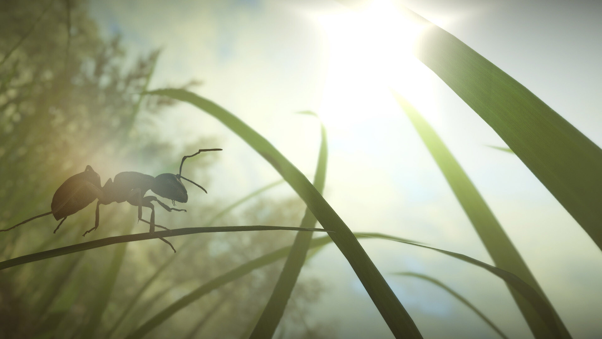 Insect Worlds screenshot 9