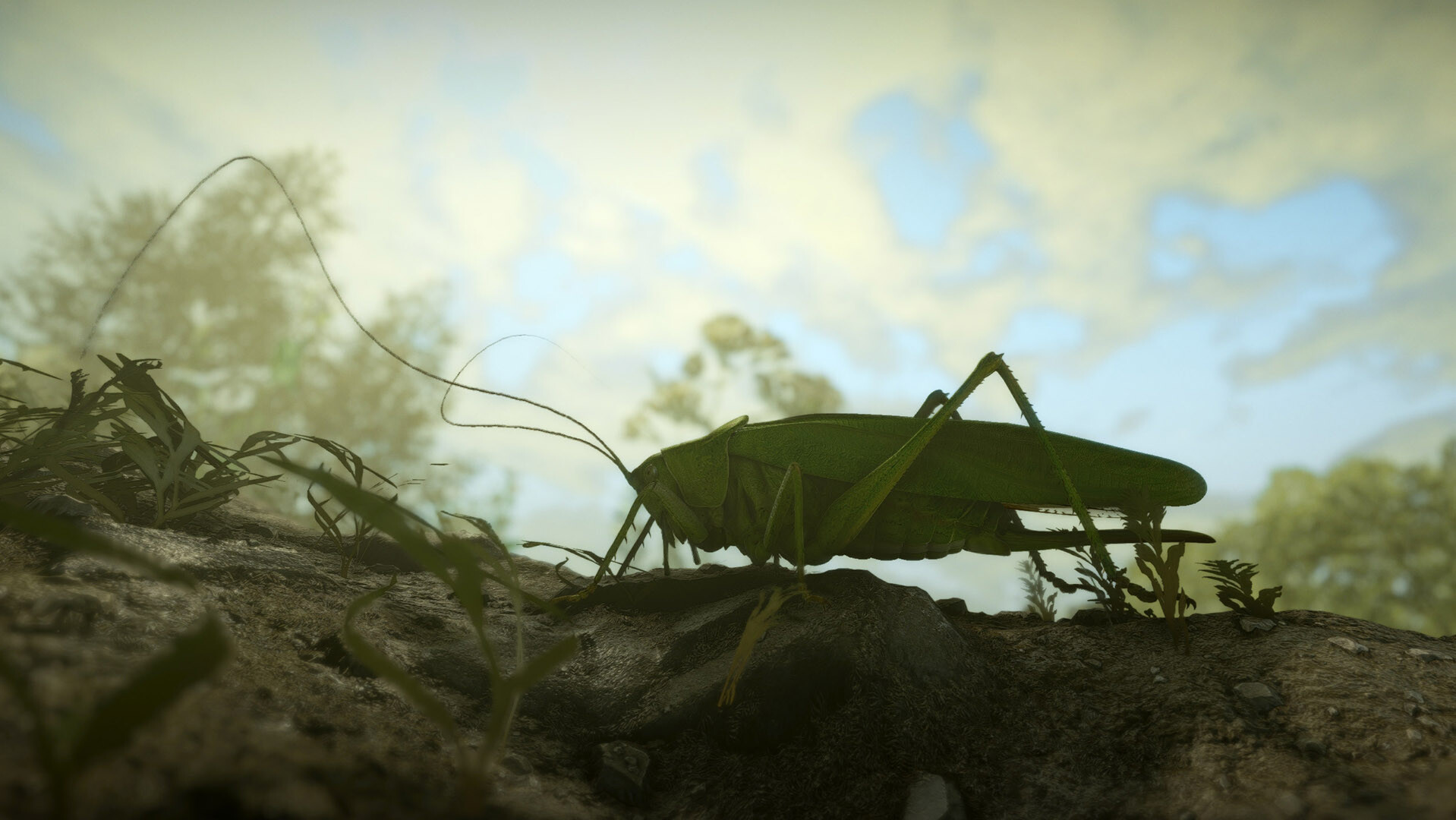 Insect Worlds screenshot 14