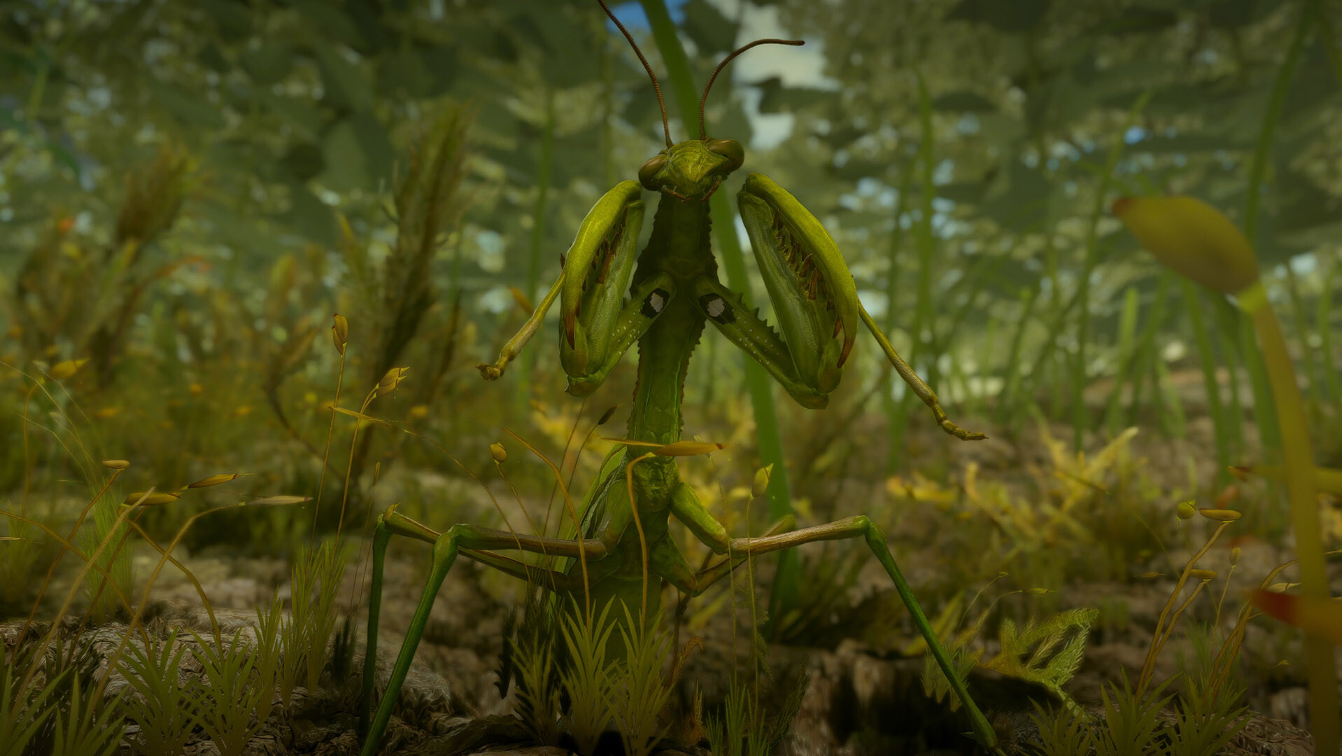 Insect Worlds screenshot 11