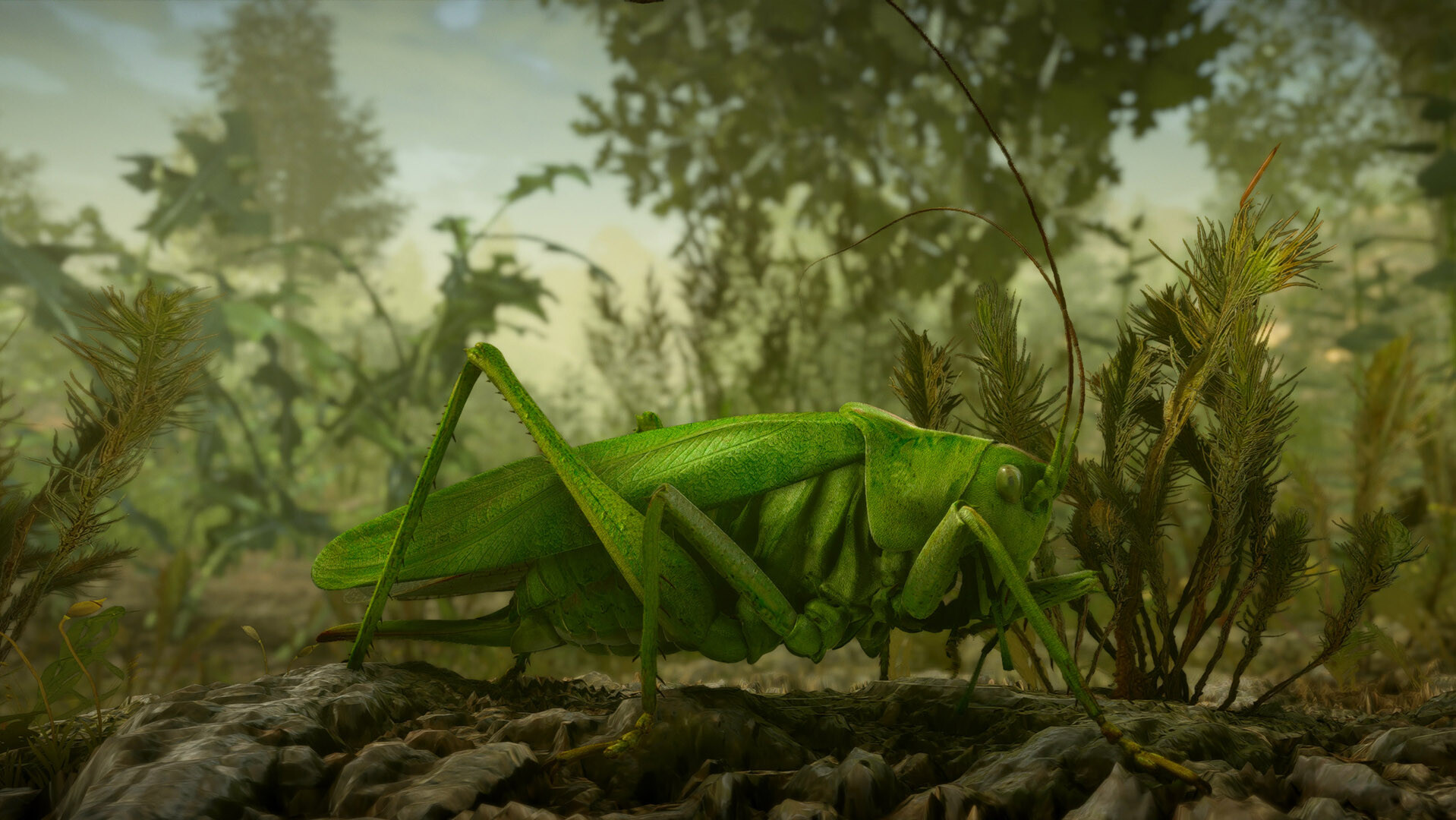 Insect Worlds screenshot 2