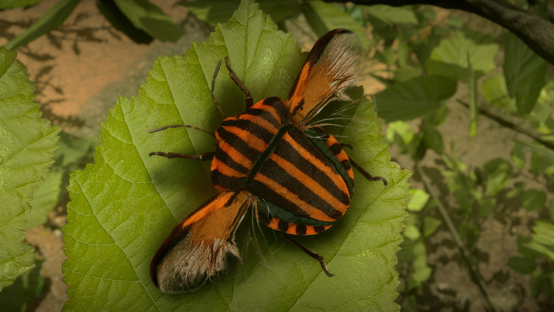 Insect Worlds screenshot 12