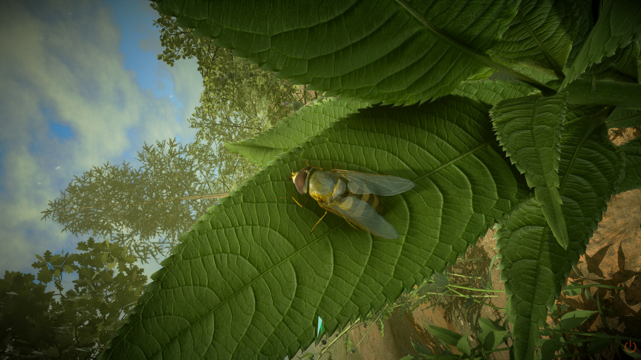 Insect Worlds screenshot 8