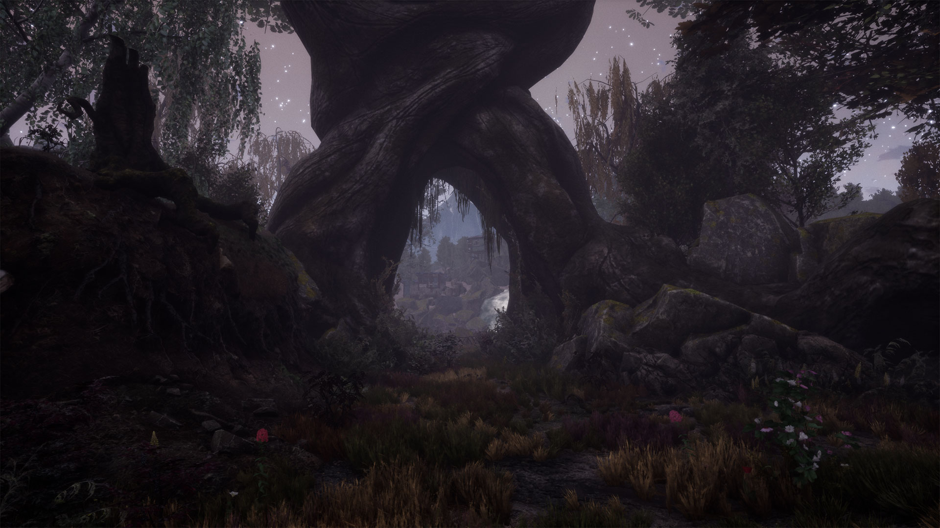 The Dead Tree of Ranchiuna screenshot 3