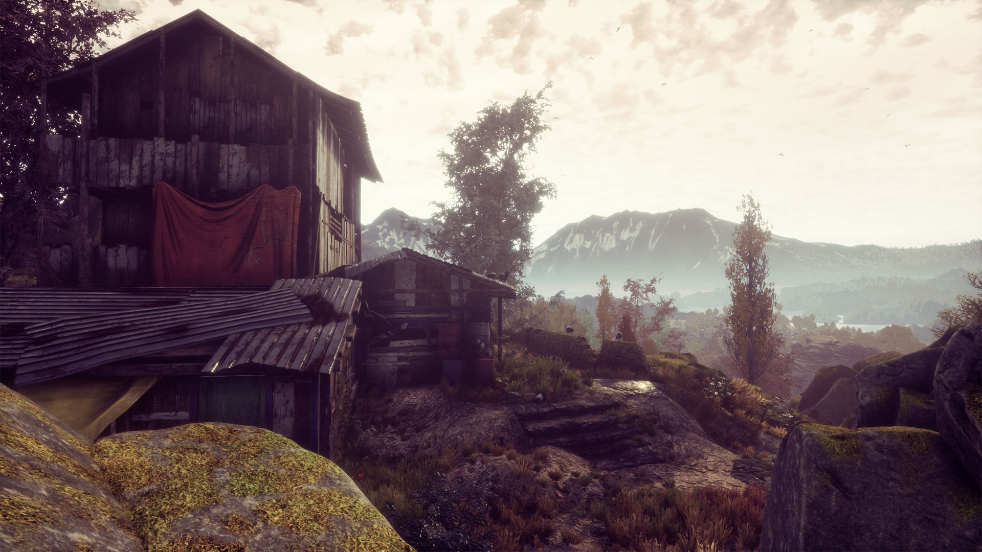 The Dead Tree of Ranchiuna screenshot 4