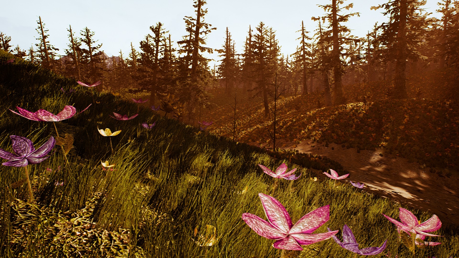 Tobit screenshot 6