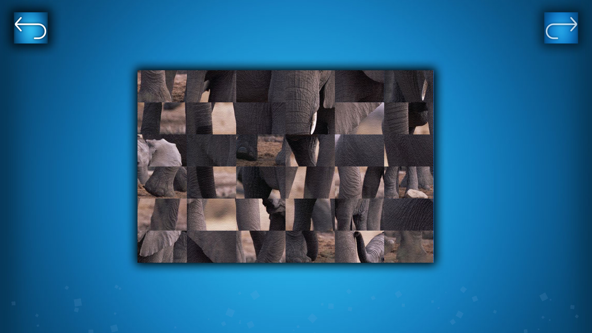 PUZZLE: ANIMALS screenshot 6