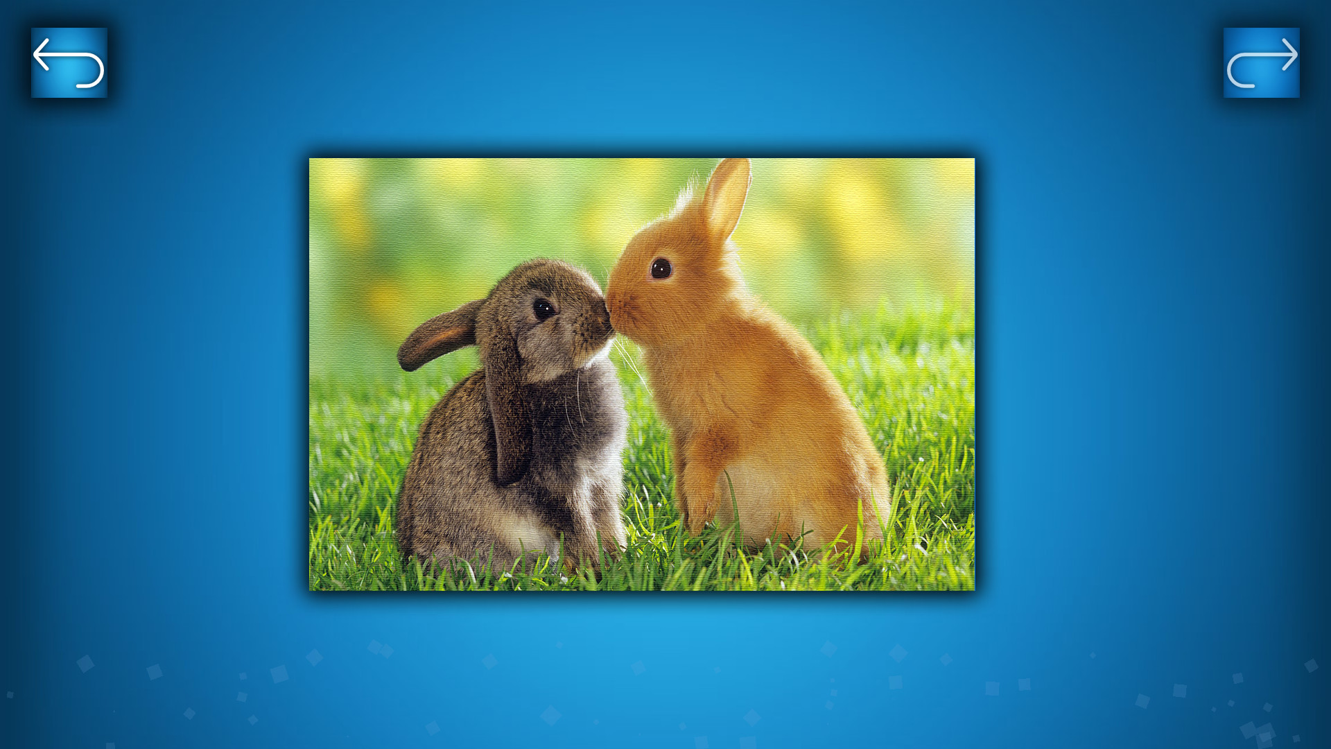 PUZZLE: ANIMALS screenshot 2