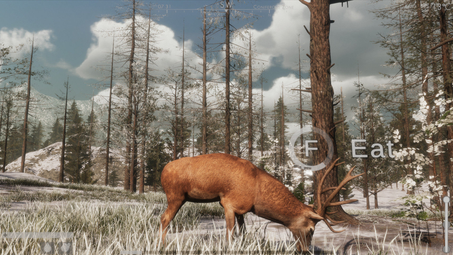 The WILDS screenshot 4