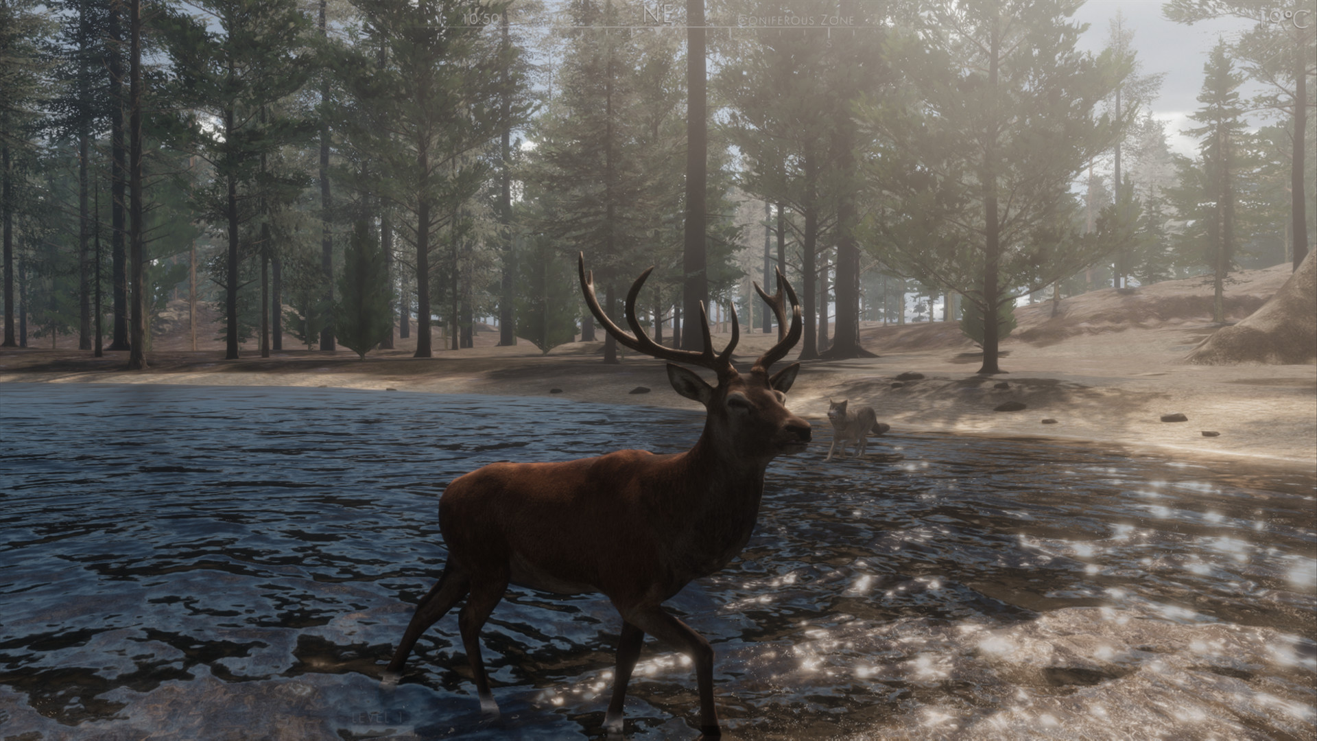 The WILDS screenshot 6