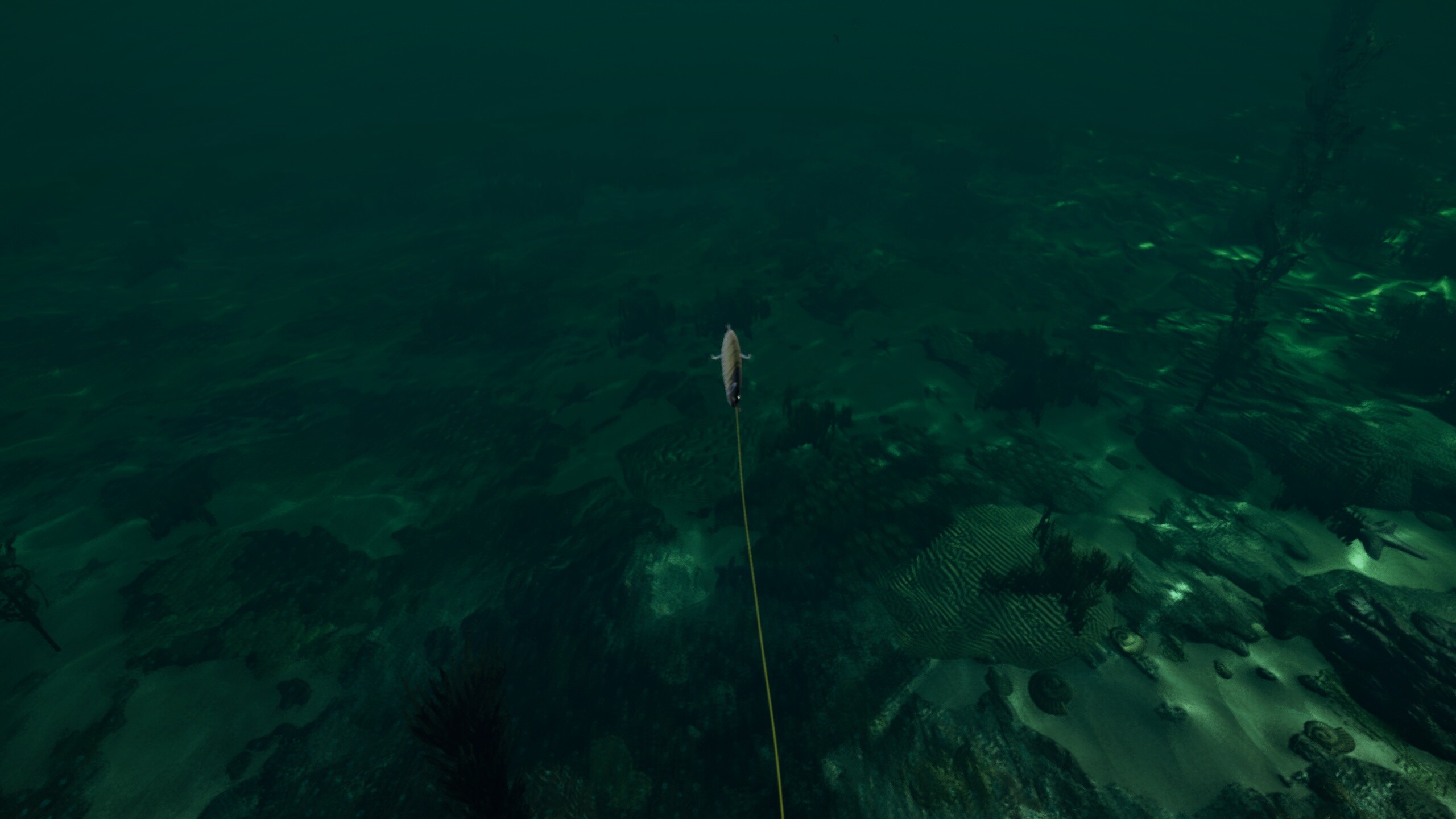 Ultimate Fishing Simulator VR - Florida DLC screenshot 3