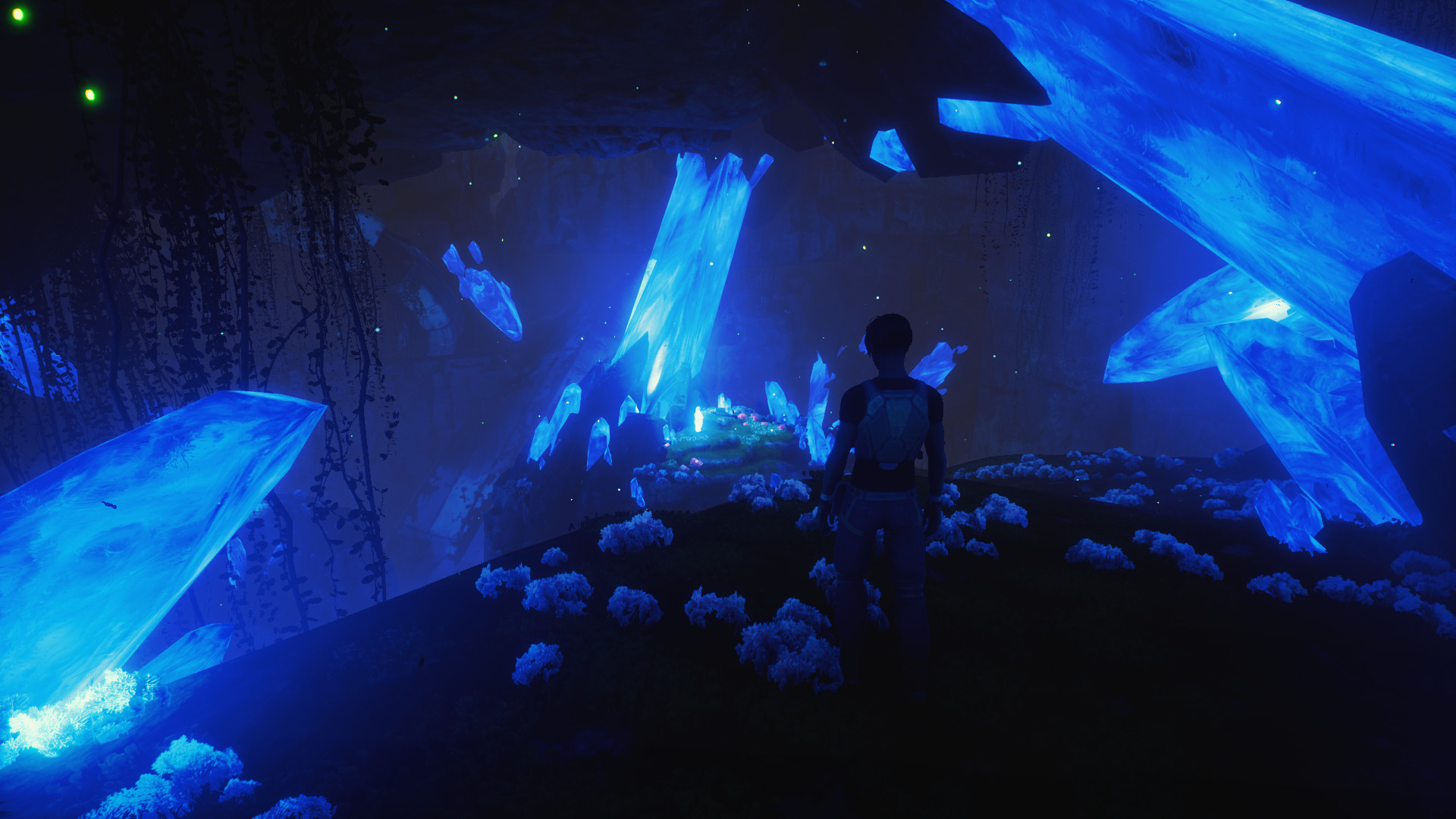 Wild Life screenshot 12