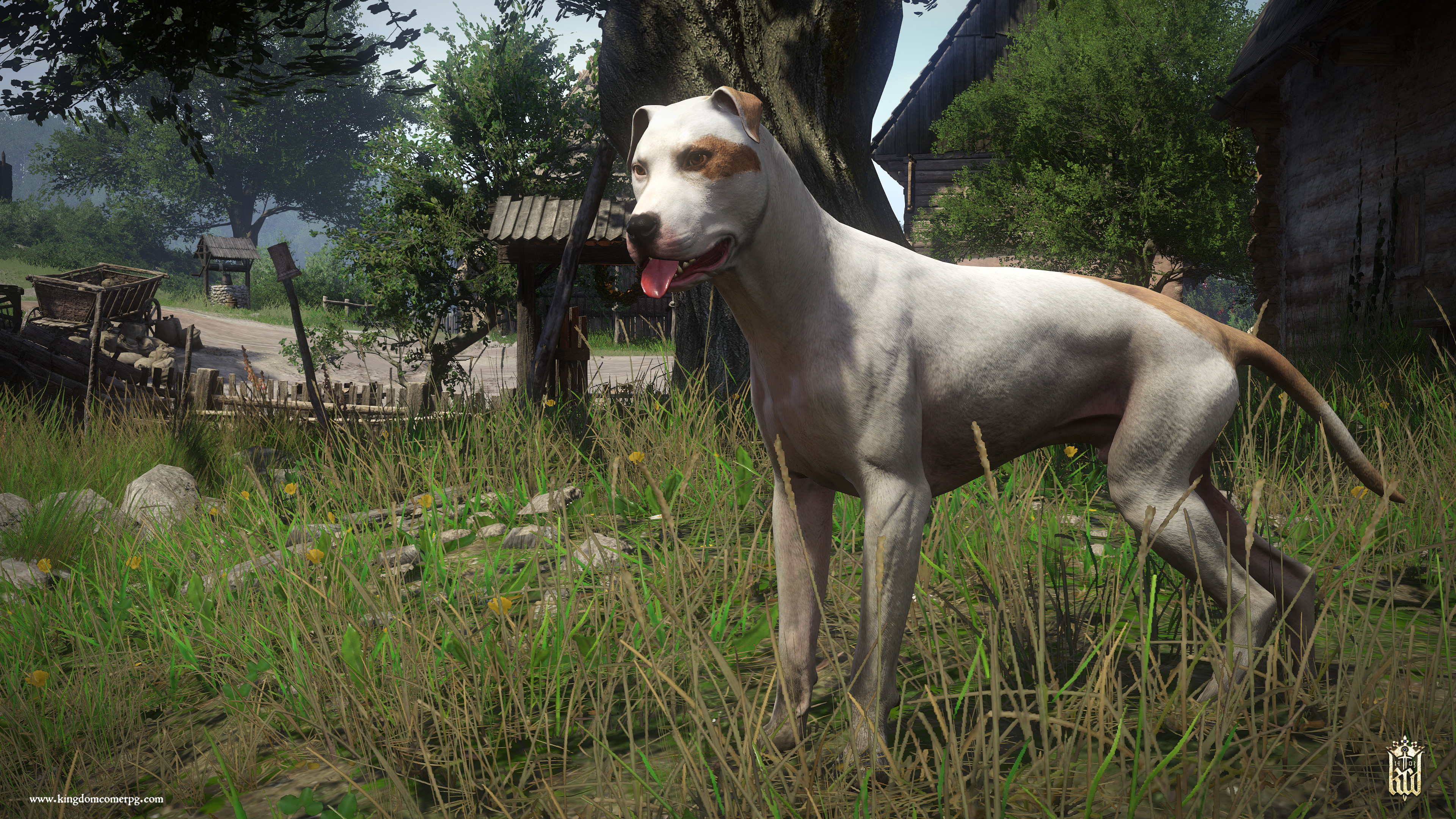Kingdom Come: Deliverance - A Woman's Lot screenshot 5
