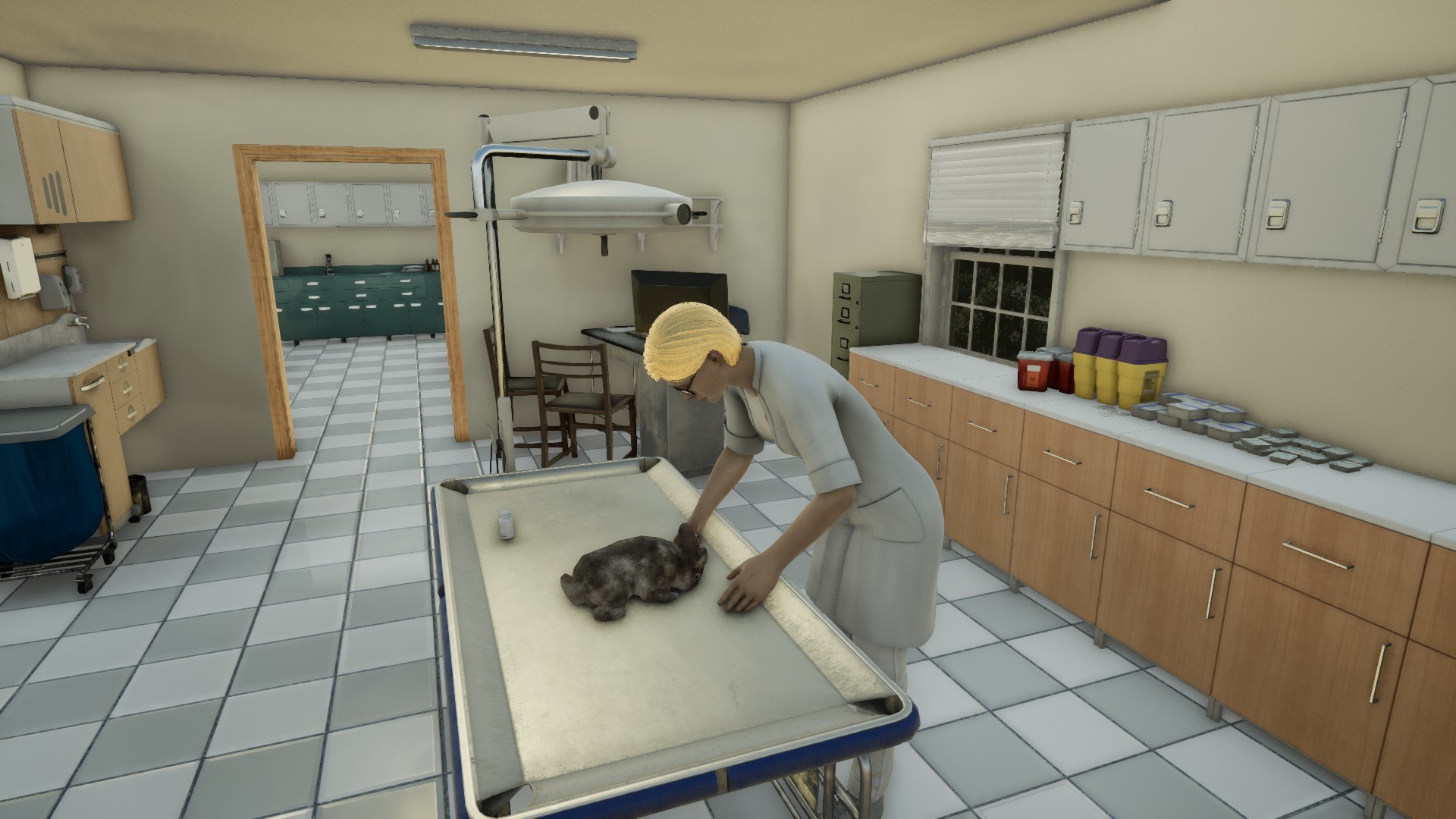 Animal Doctor screenshot 13