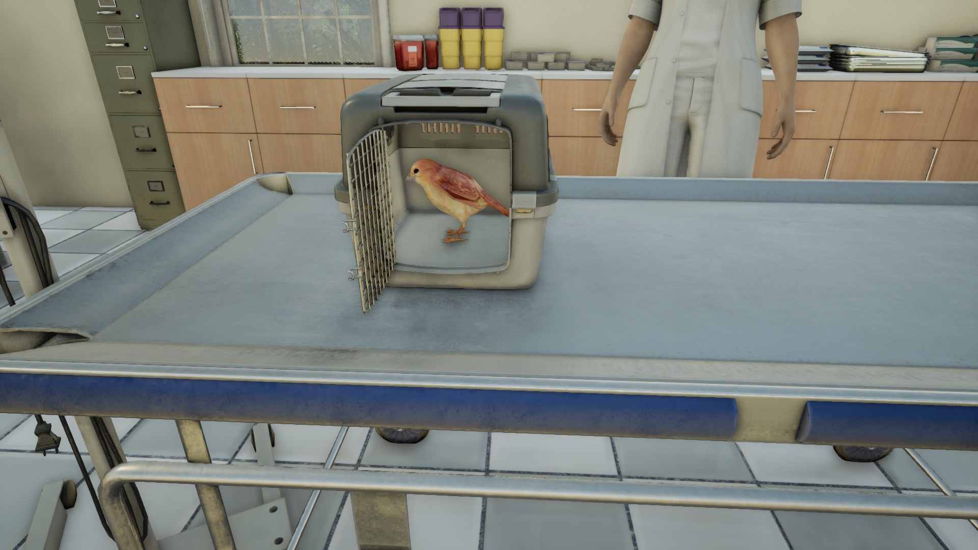 Animal Doctor screenshot 7