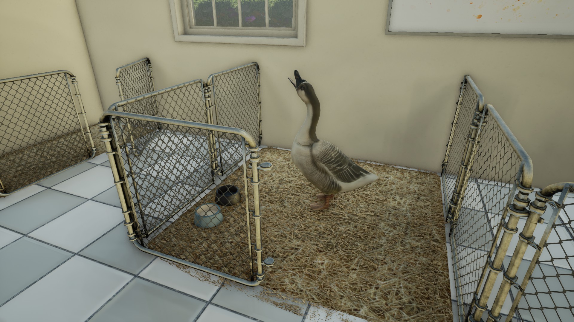 Animal Doctor screenshot 11
