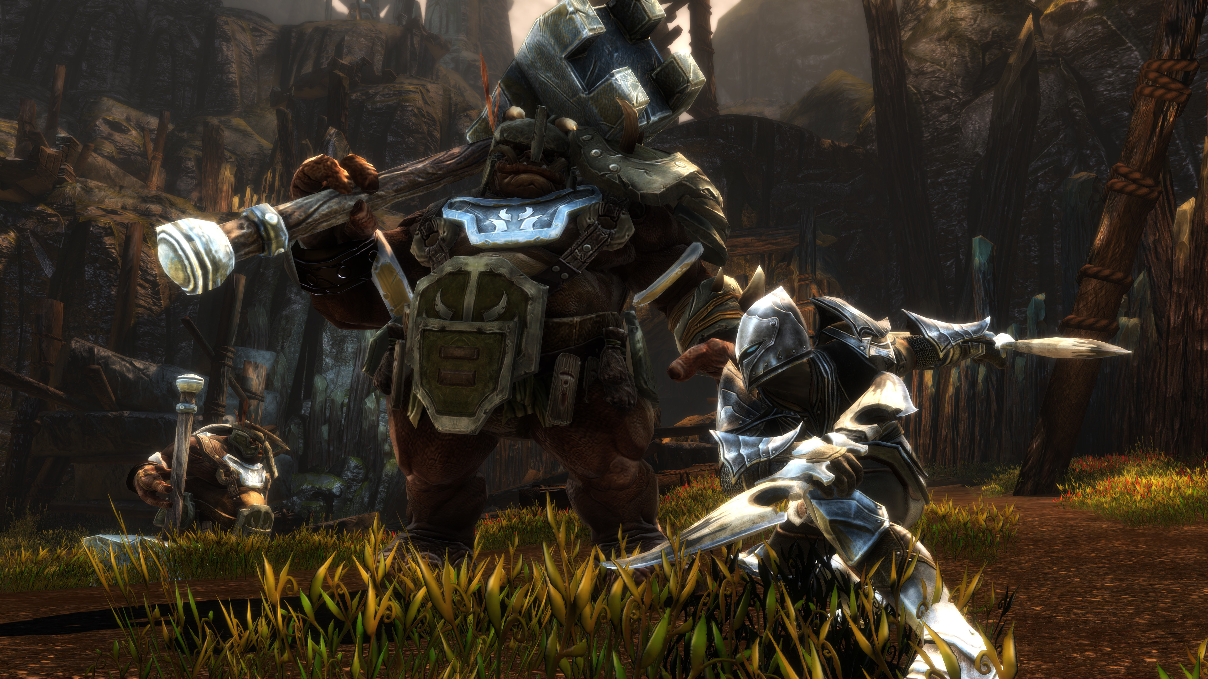 Kingdoms of Amalur: Re-Reckoning screenshot 10