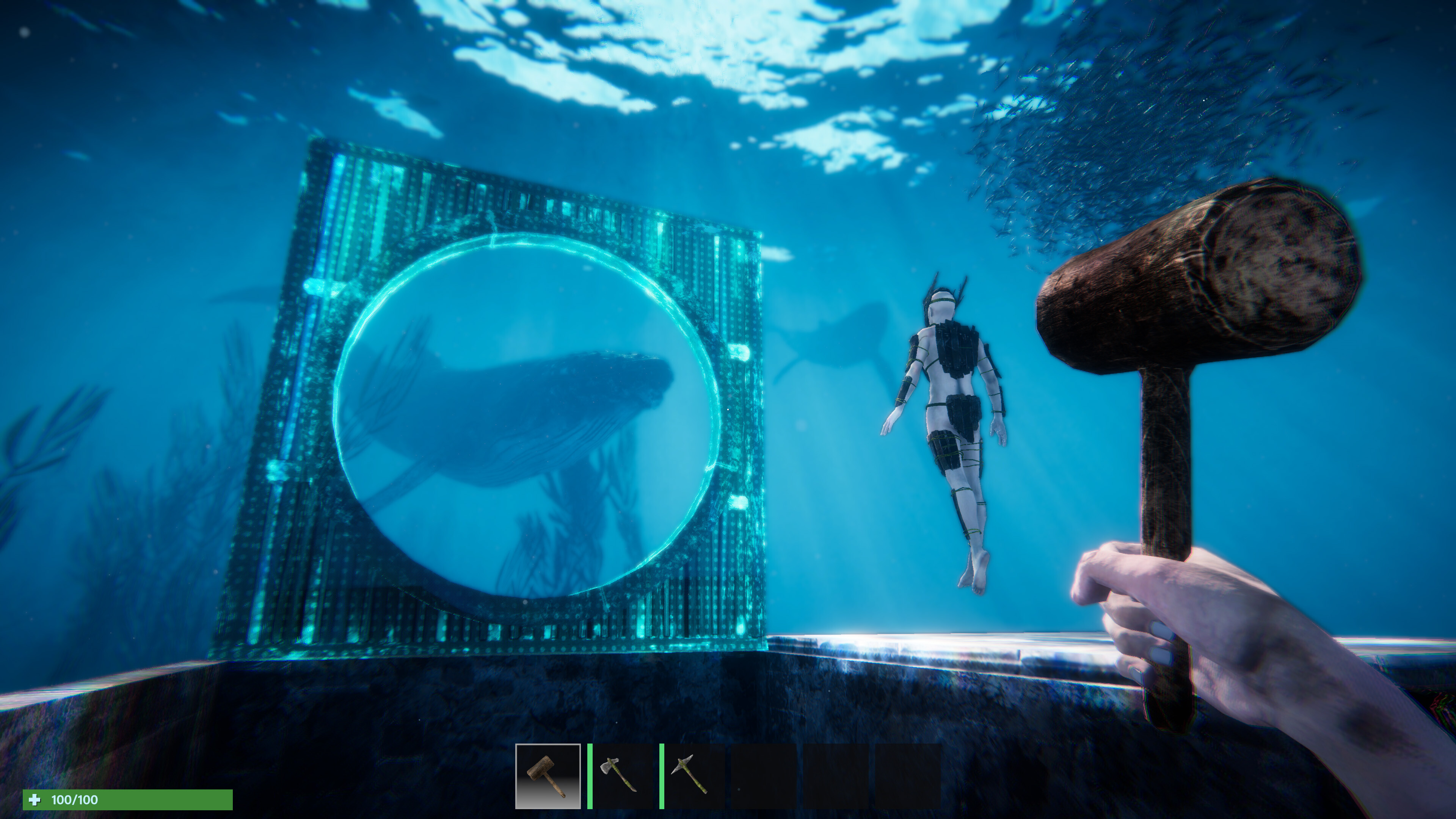 Anchor screenshot 3