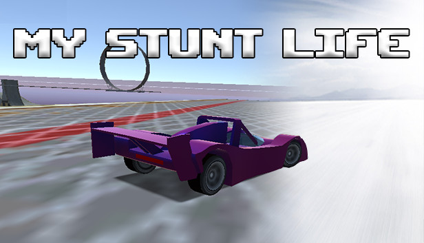 My Stunt Life