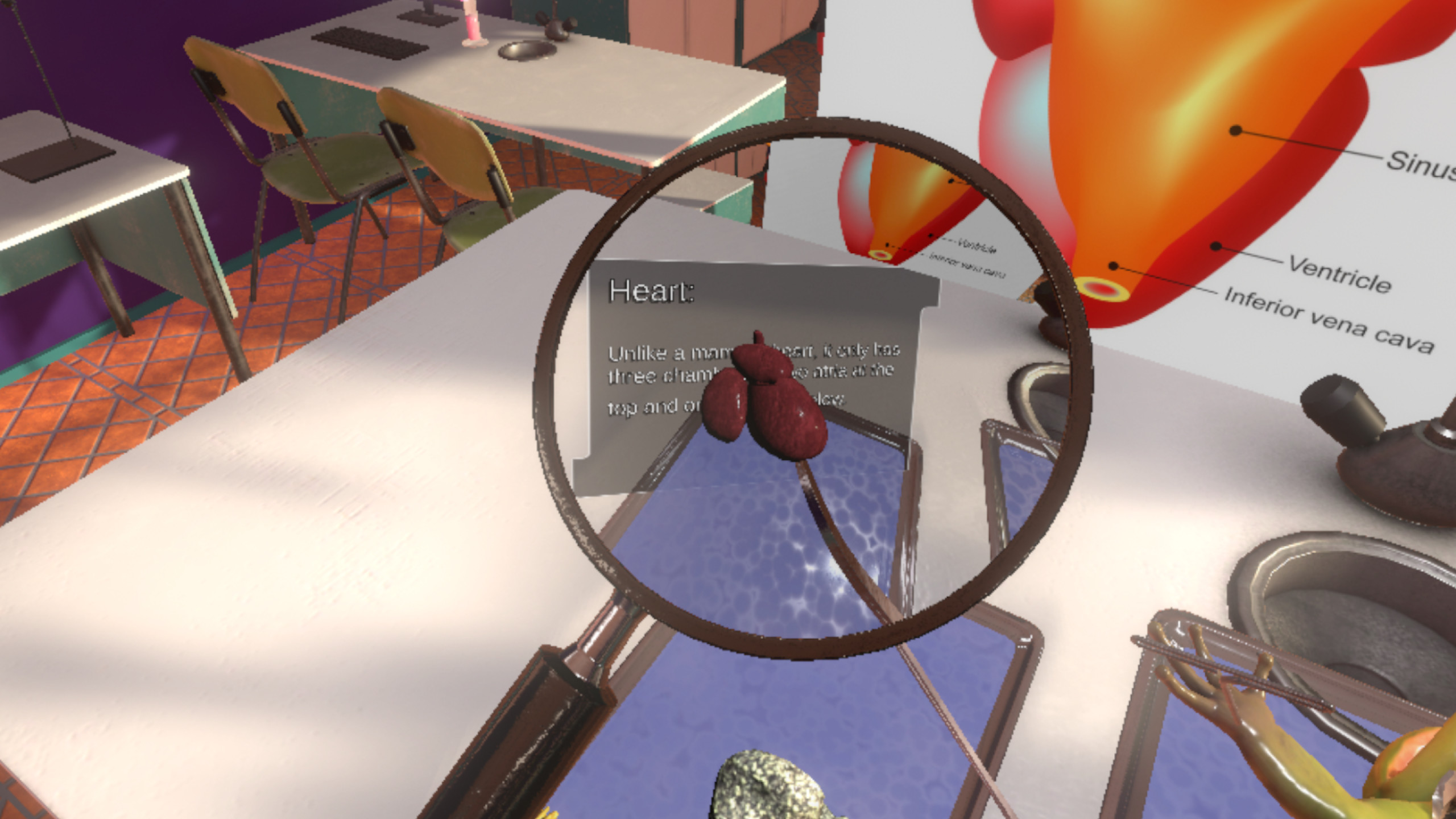 Dissection Simulator: Frog Edition screenshot 7