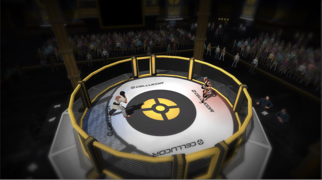 MMA Arena screenshot 8