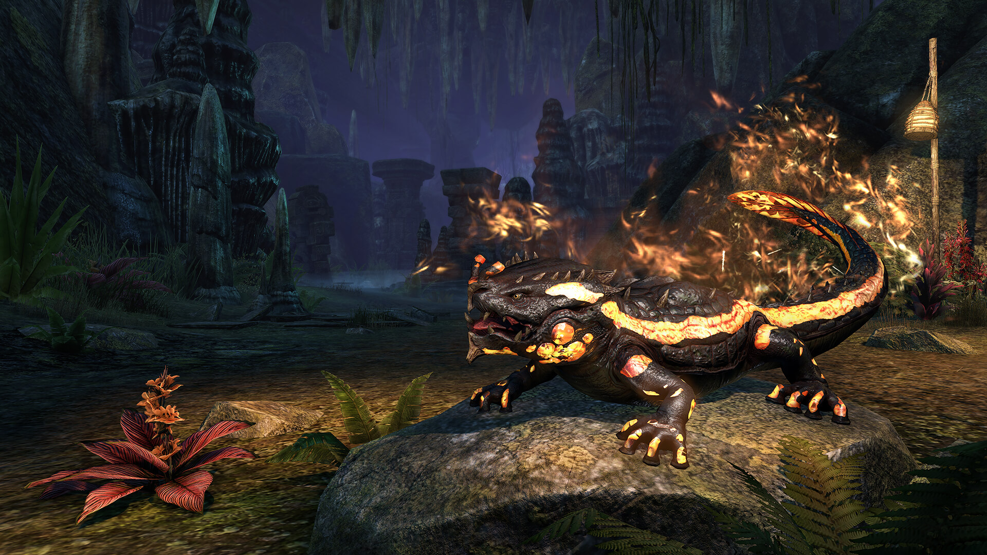 The Elder Scrolls Online - Newcomer Pack screenshot 1