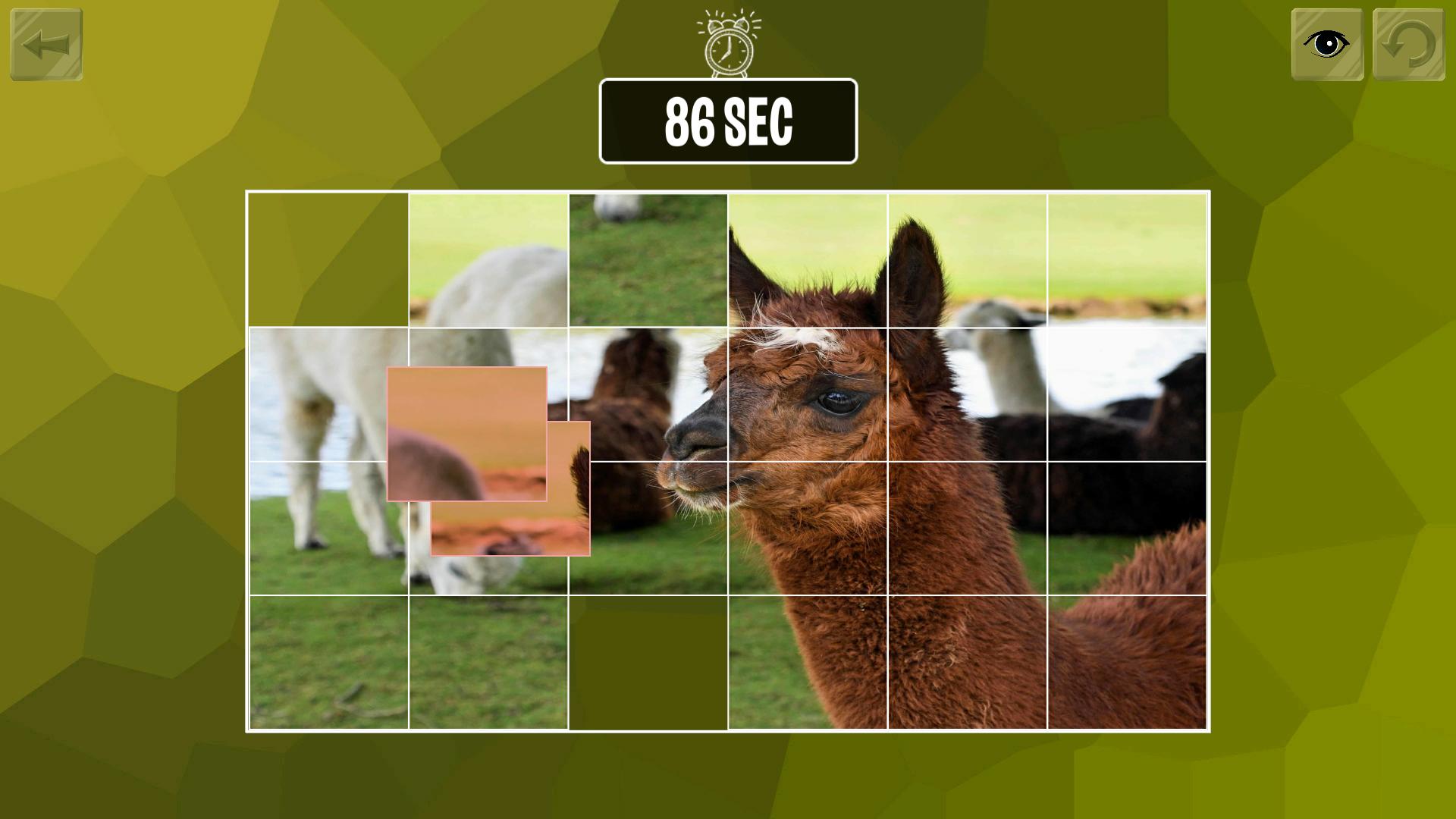 Easy puzzle: Animals screenshot 6