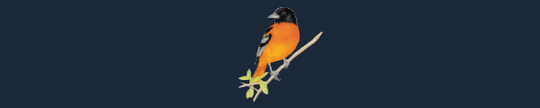 Wingspan thumbnail