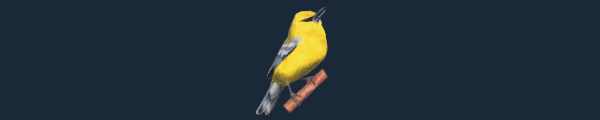 Wingspan thumbnail