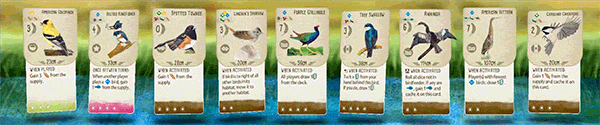 Wingspan thumbnail