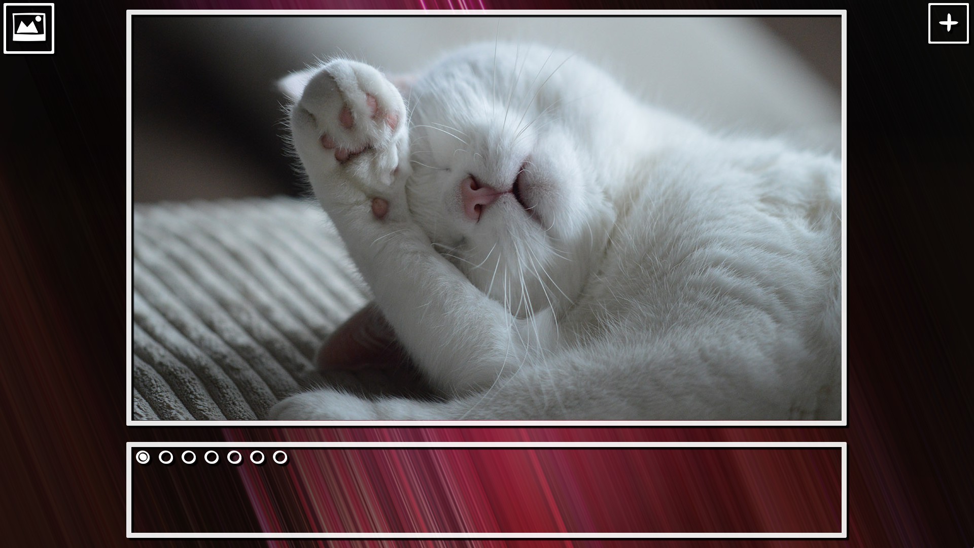 Super Jigsaw Puzzle: Generations - Kittens Puzzles screenshot 5