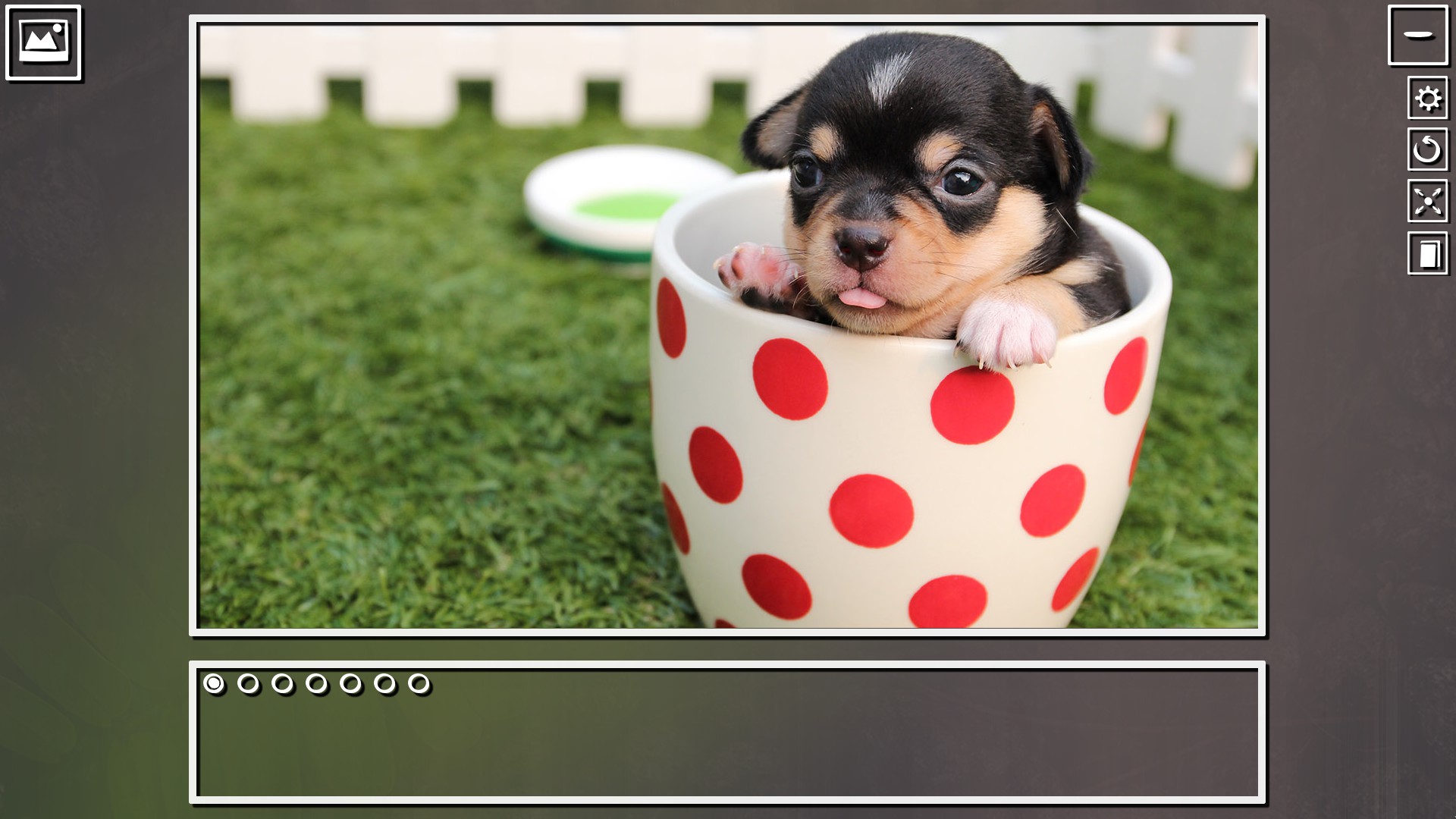Super Jigsaw Puzzle: Generations - Puppies Puzzles screenshot 2
