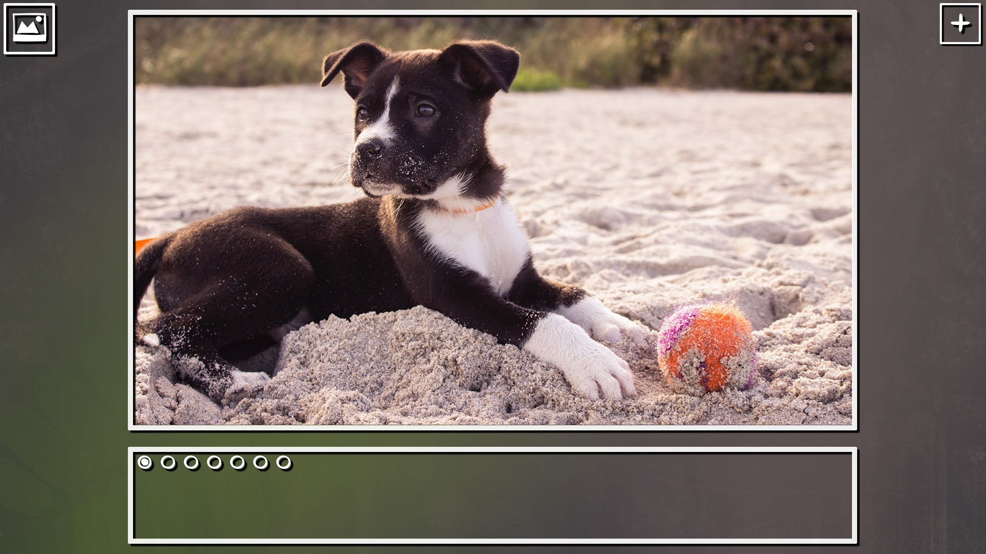 Super Jigsaw Puzzle: Generations - Puppies Puzzles screenshot 3