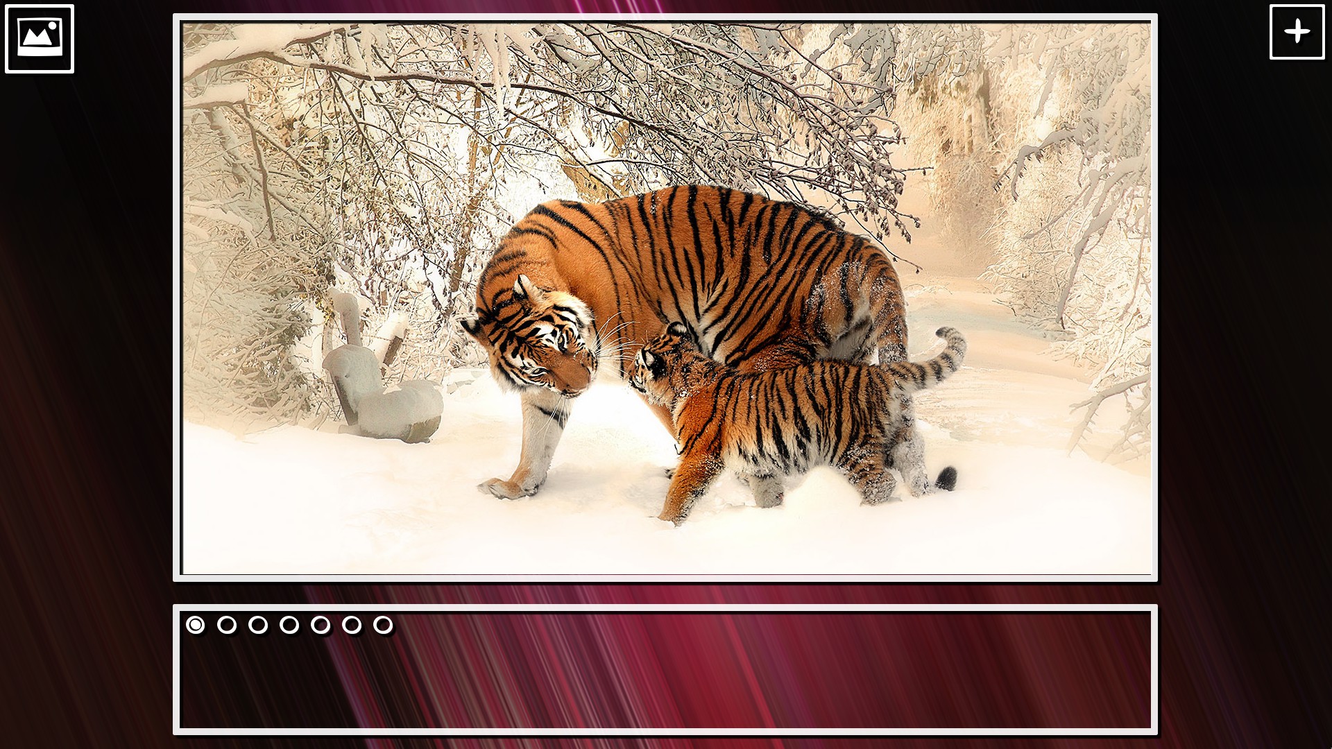 Super Jigsaw Puzzle: Generations - Big Cats Puzzles screenshot 6