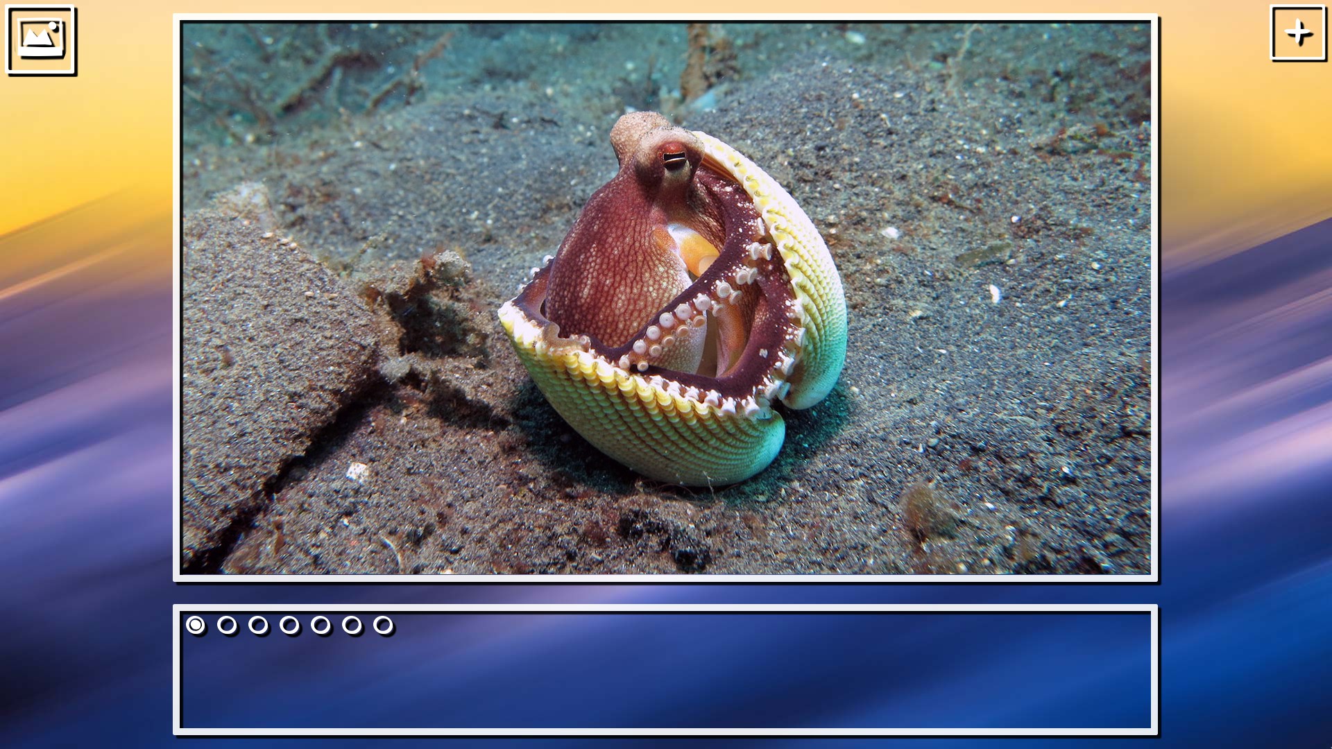 Super Jigsaw Puzzle: Generations - Sealife Puzzles screenshot 3