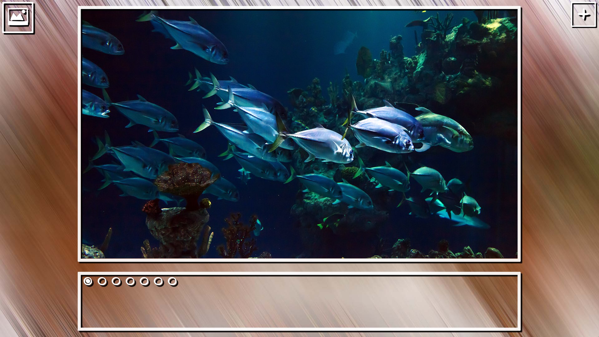 Super Jigsaw Puzzle: Generations - Sealife Puzzles screenshot 4