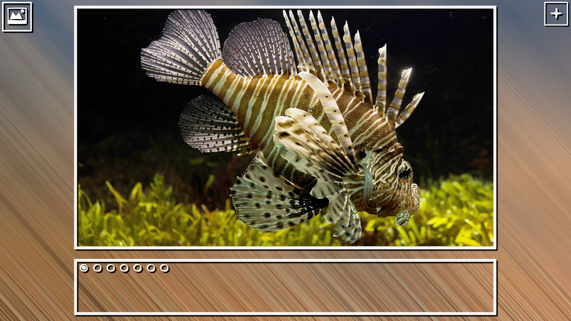 Super Jigsaw Puzzle: Generations - Sealife Puzzles screenshot 5