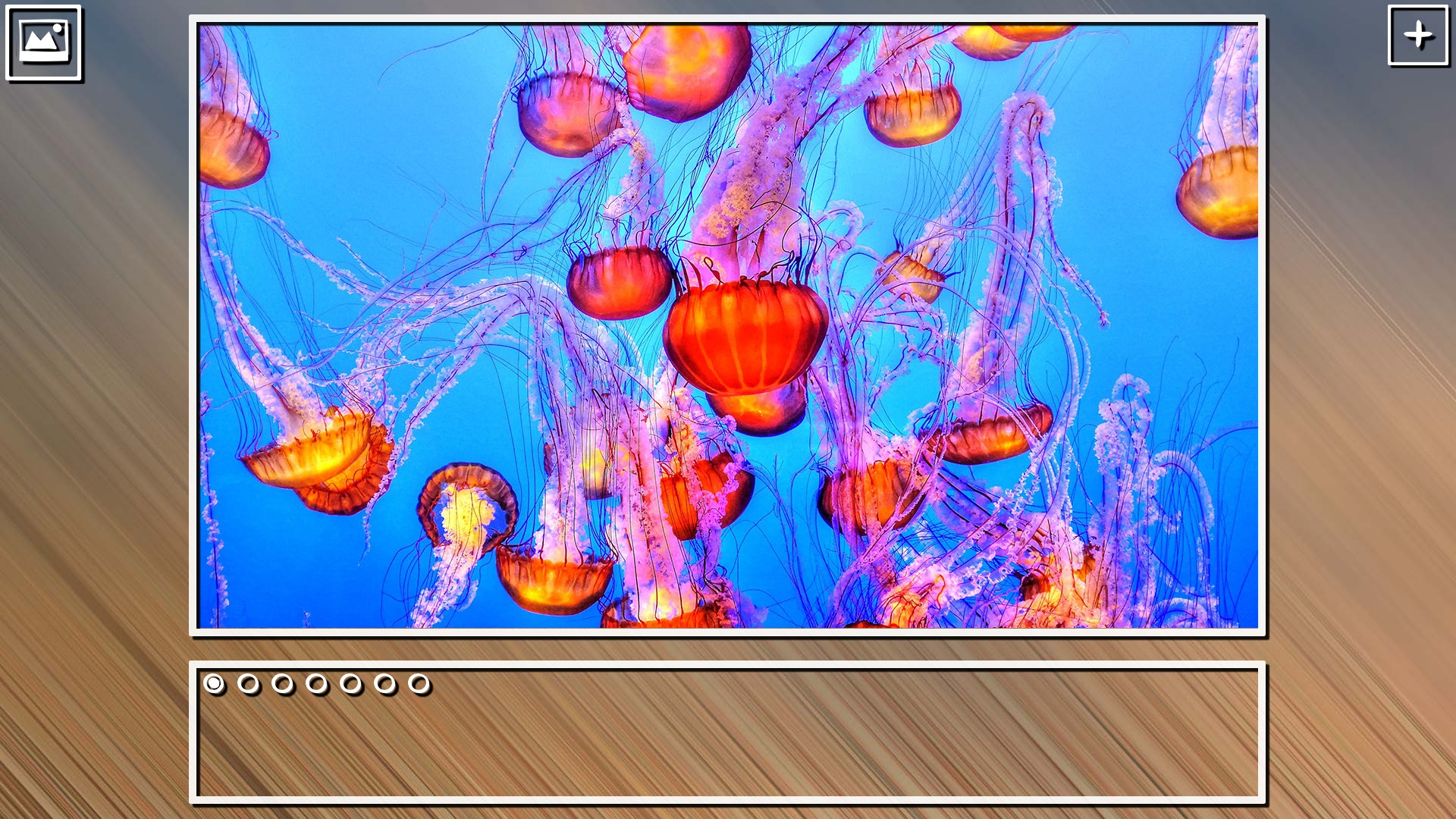 Super Jigsaw Puzzle: Generations - Sealife Puzzles screenshot 9