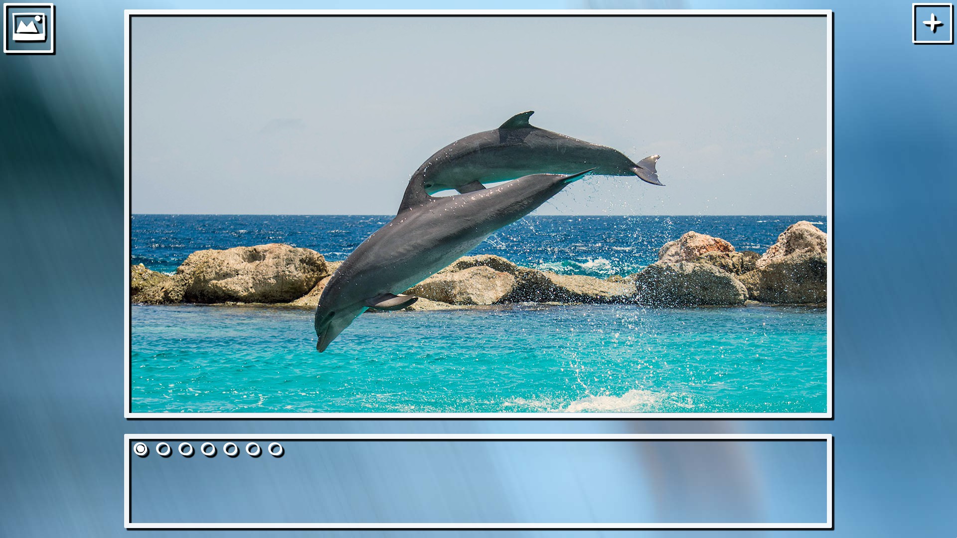 Super Jigsaw Puzzle: Generations - Sealife Puzzles screenshot 2