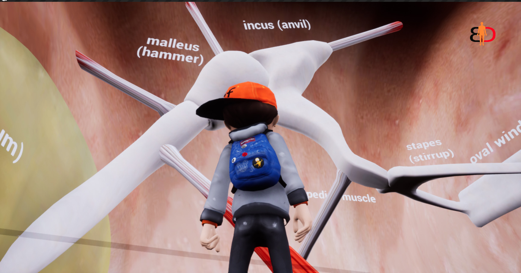 Body Discovery screenshot 8