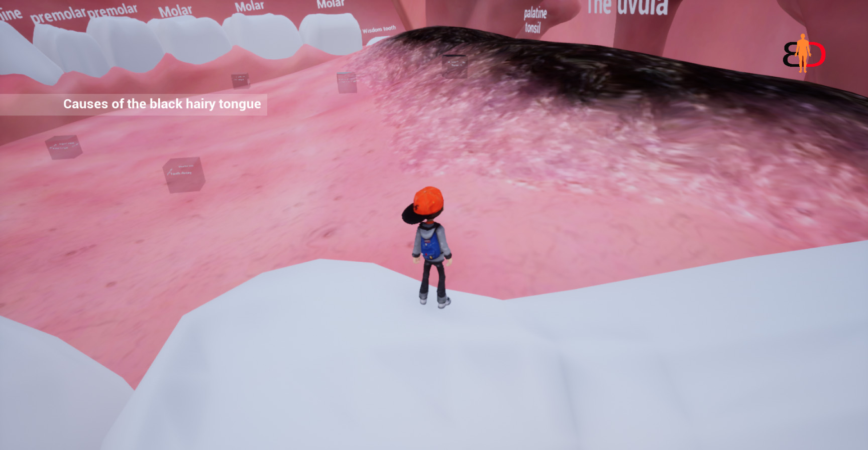 Body Discovery screenshot 3