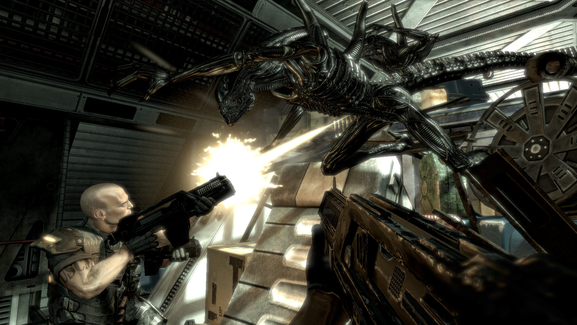 Aliens vs. Predator™ screenshot 6