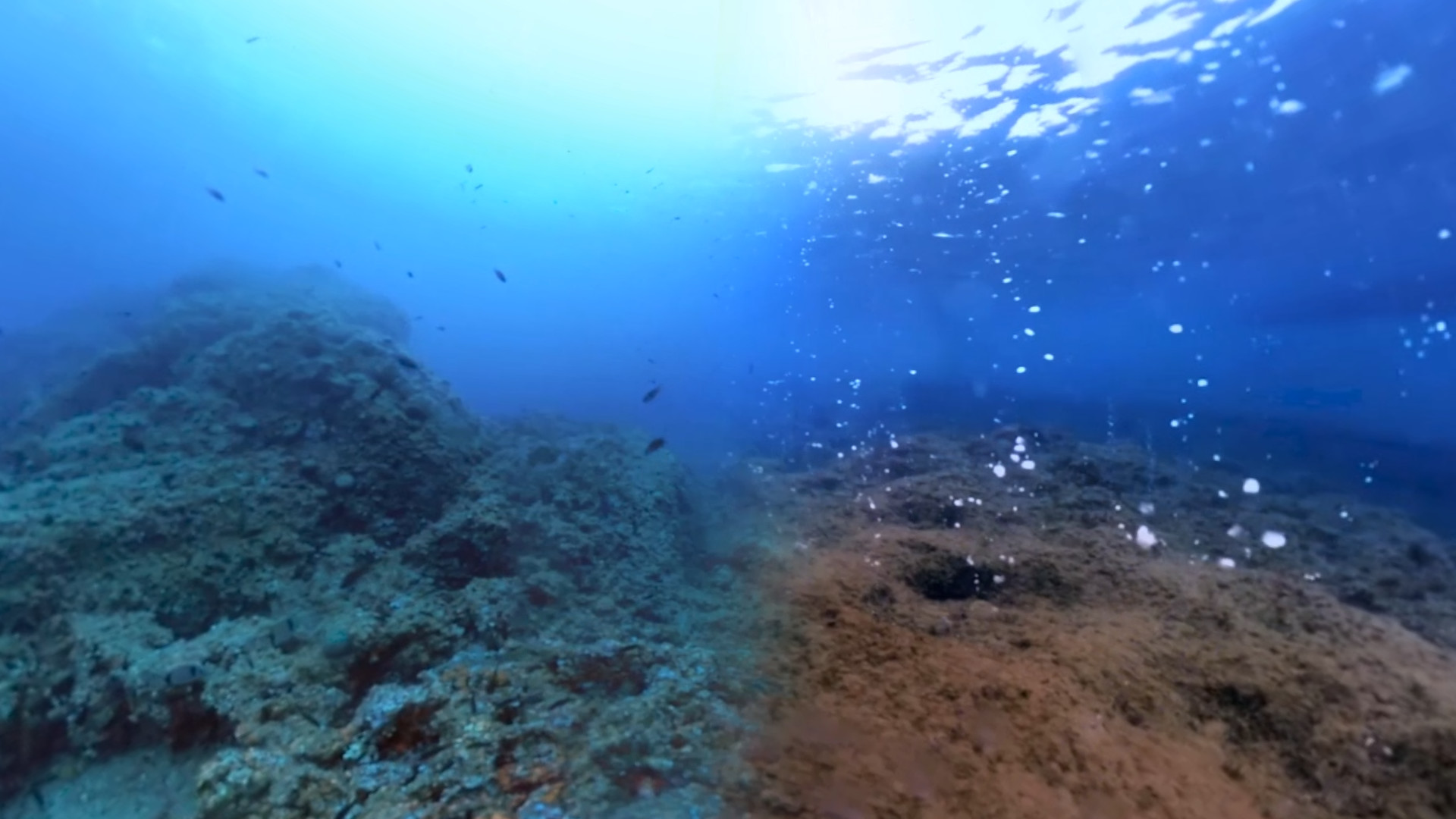 The Crystal Reef screenshot 5