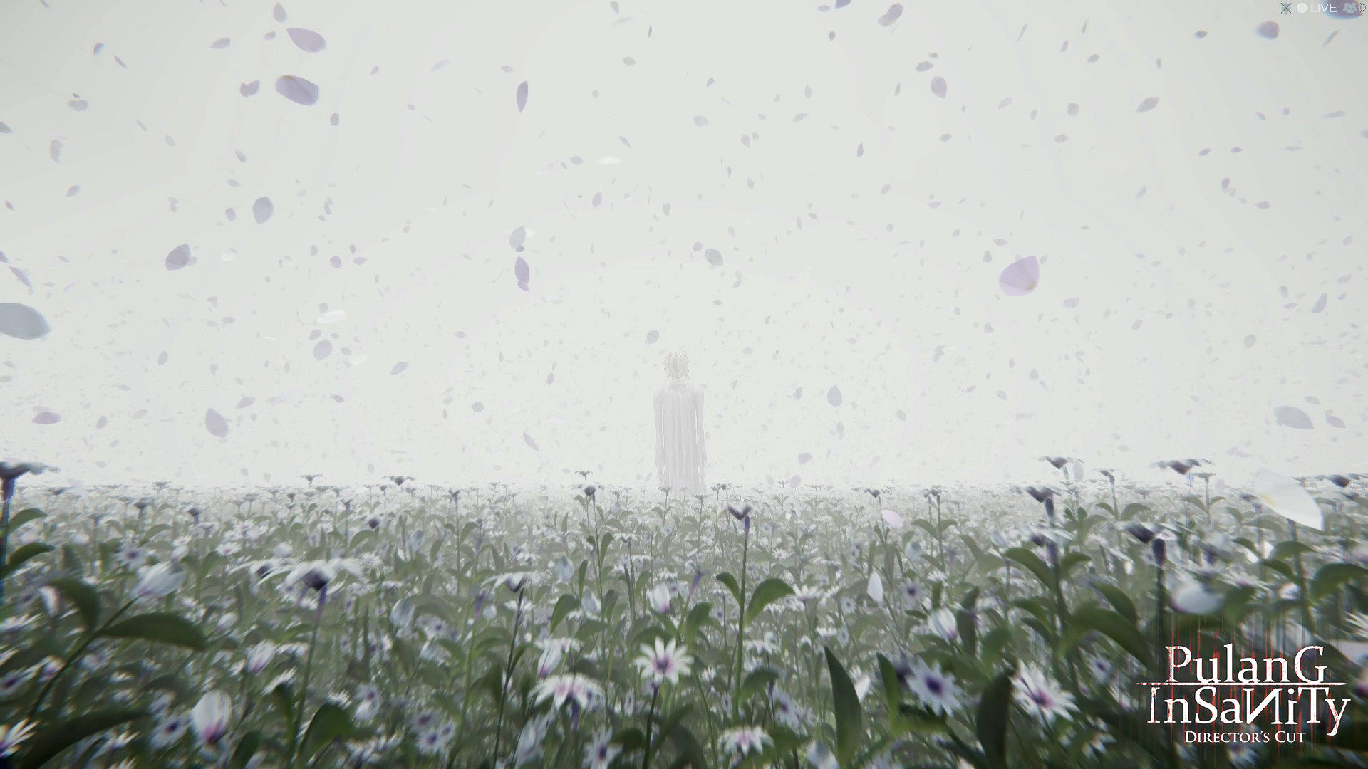 Pulang : Insanity screenshot 9