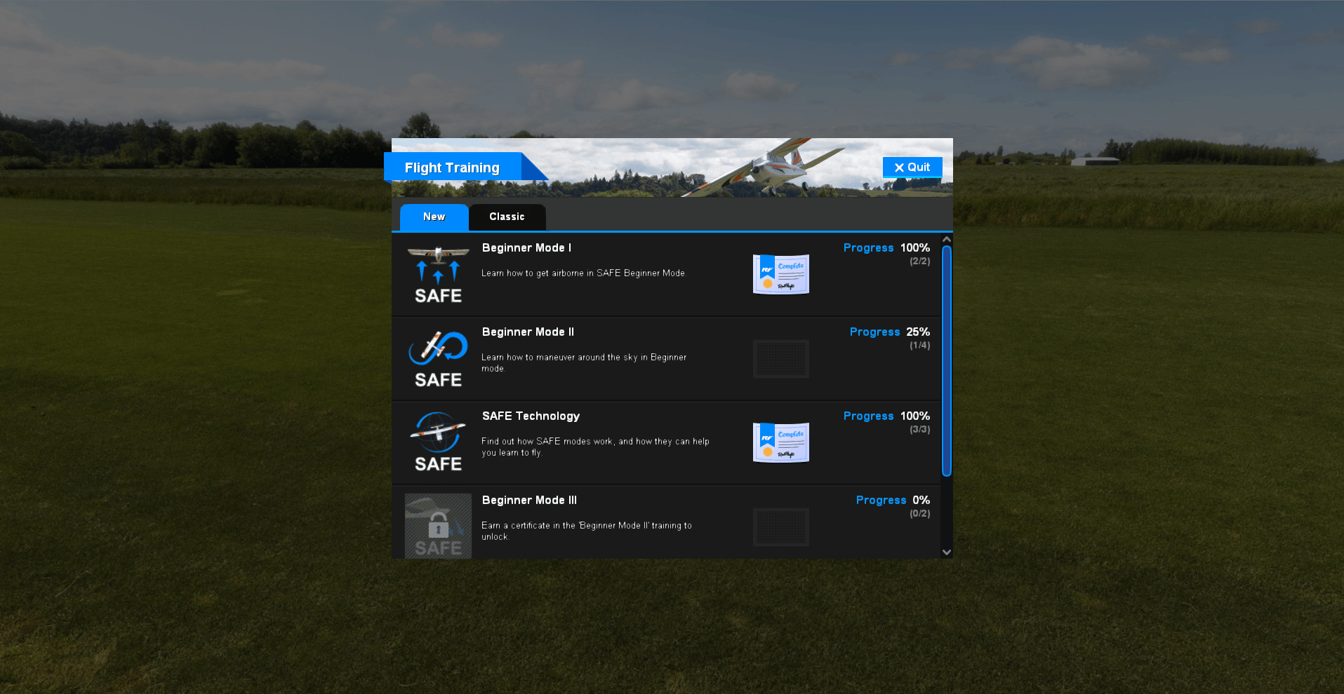 RealFlight 9.5S screenshot 19