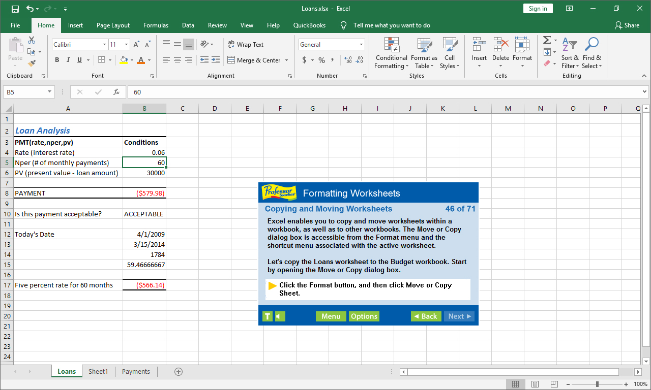 Professor Teaches Excel 2019 screenshot 4