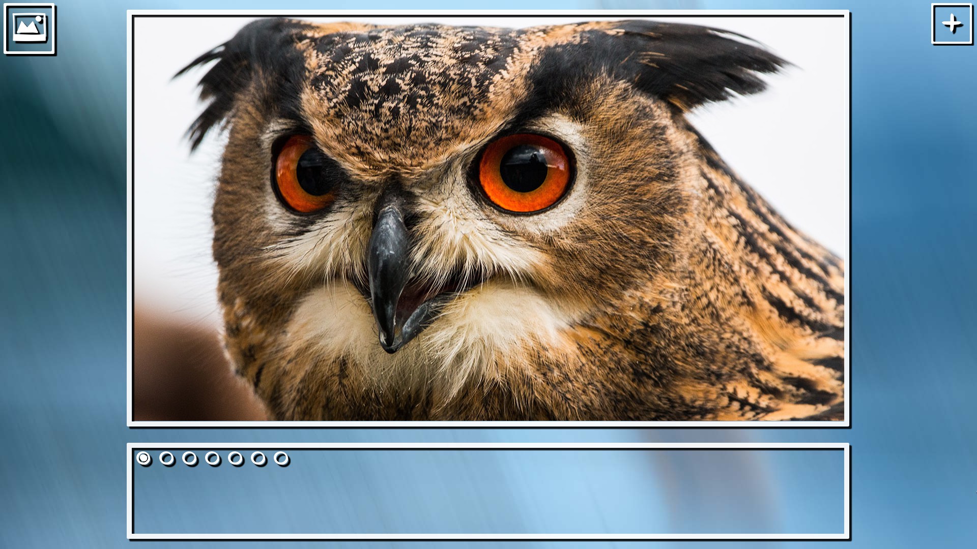 Super Jigsaw Puzzle: Generations - Birds Puzzles screenshot 9