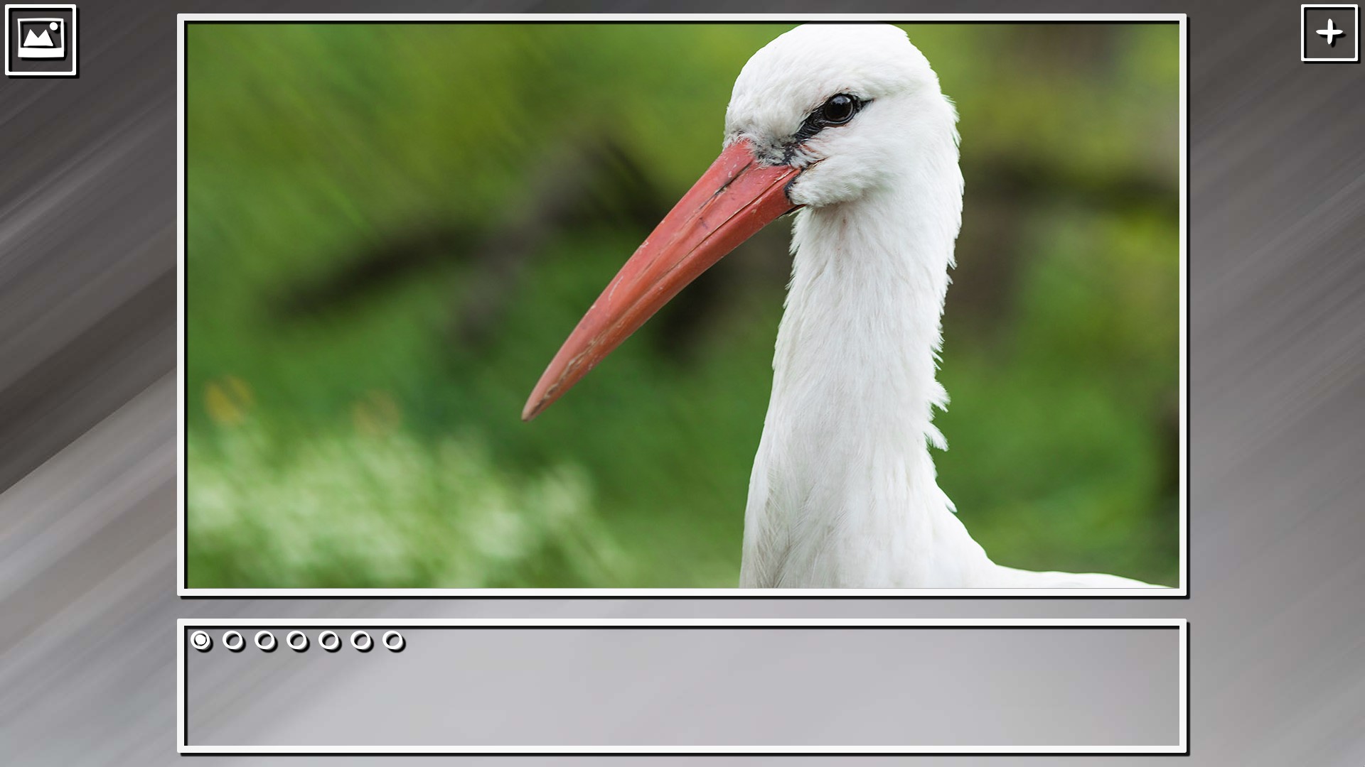 Super Jigsaw Puzzle: Generations - Birds Puzzles screenshot 2