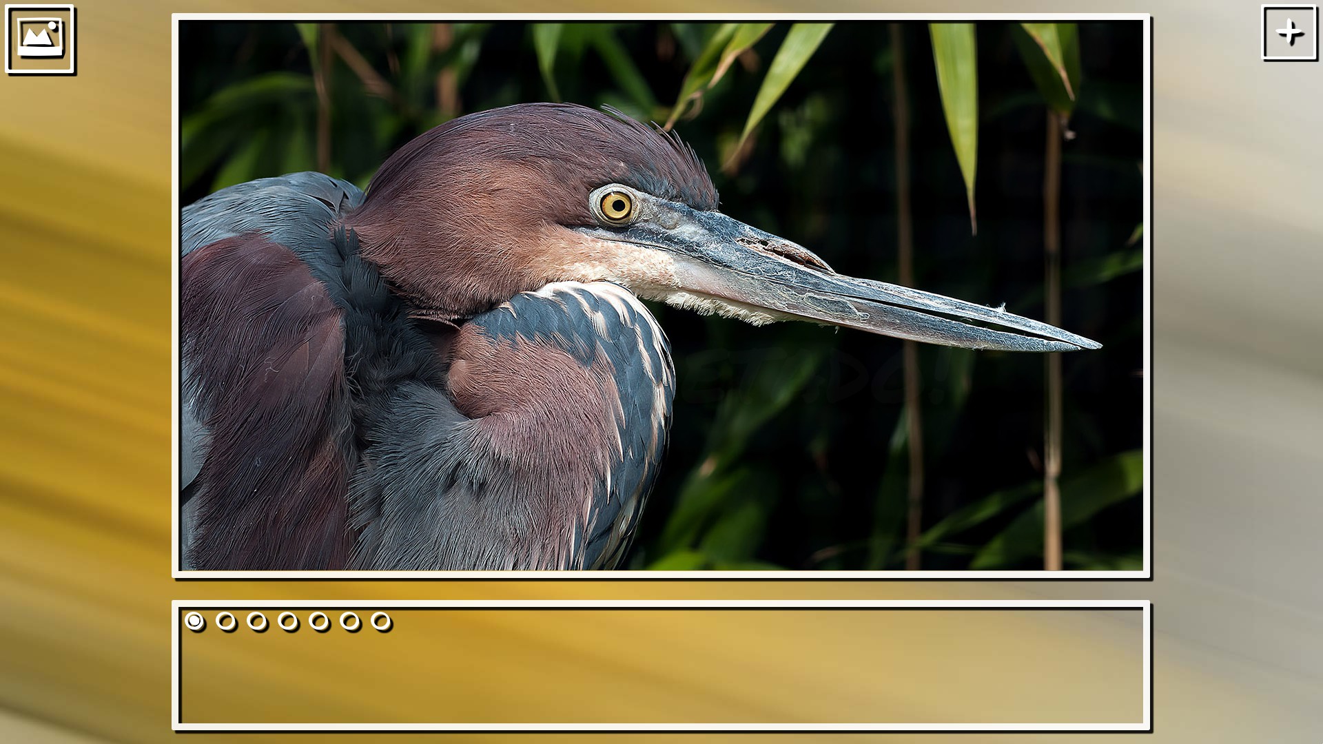 Super Jigsaw Puzzle: Generations - Birds Puzzles screenshot 4