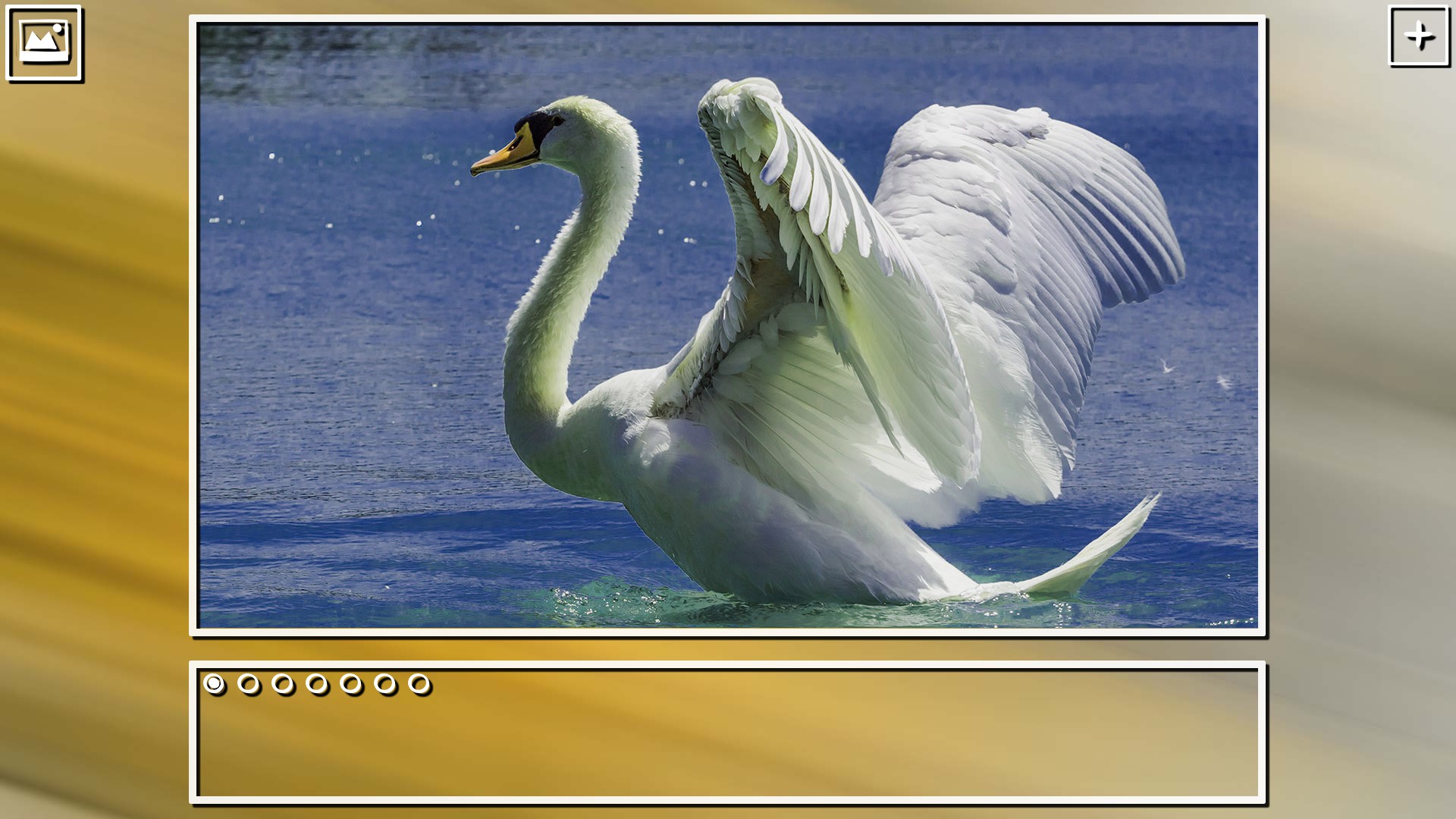 Super Jigsaw Puzzle: Generations - Birds Puzzles screenshot 16