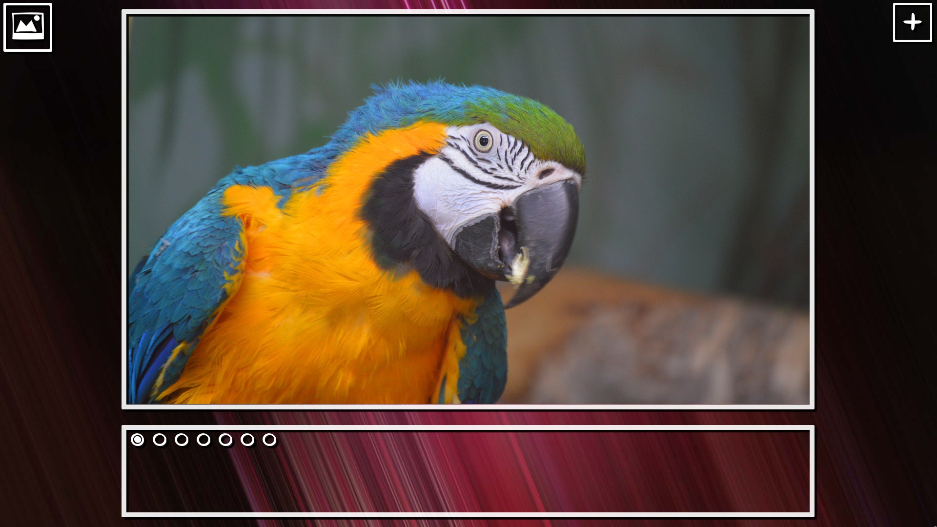 Super Jigsaw Puzzle: Generations - Birds Puzzles screenshot 18